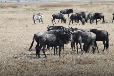 DSC_3400 (Large).JPG